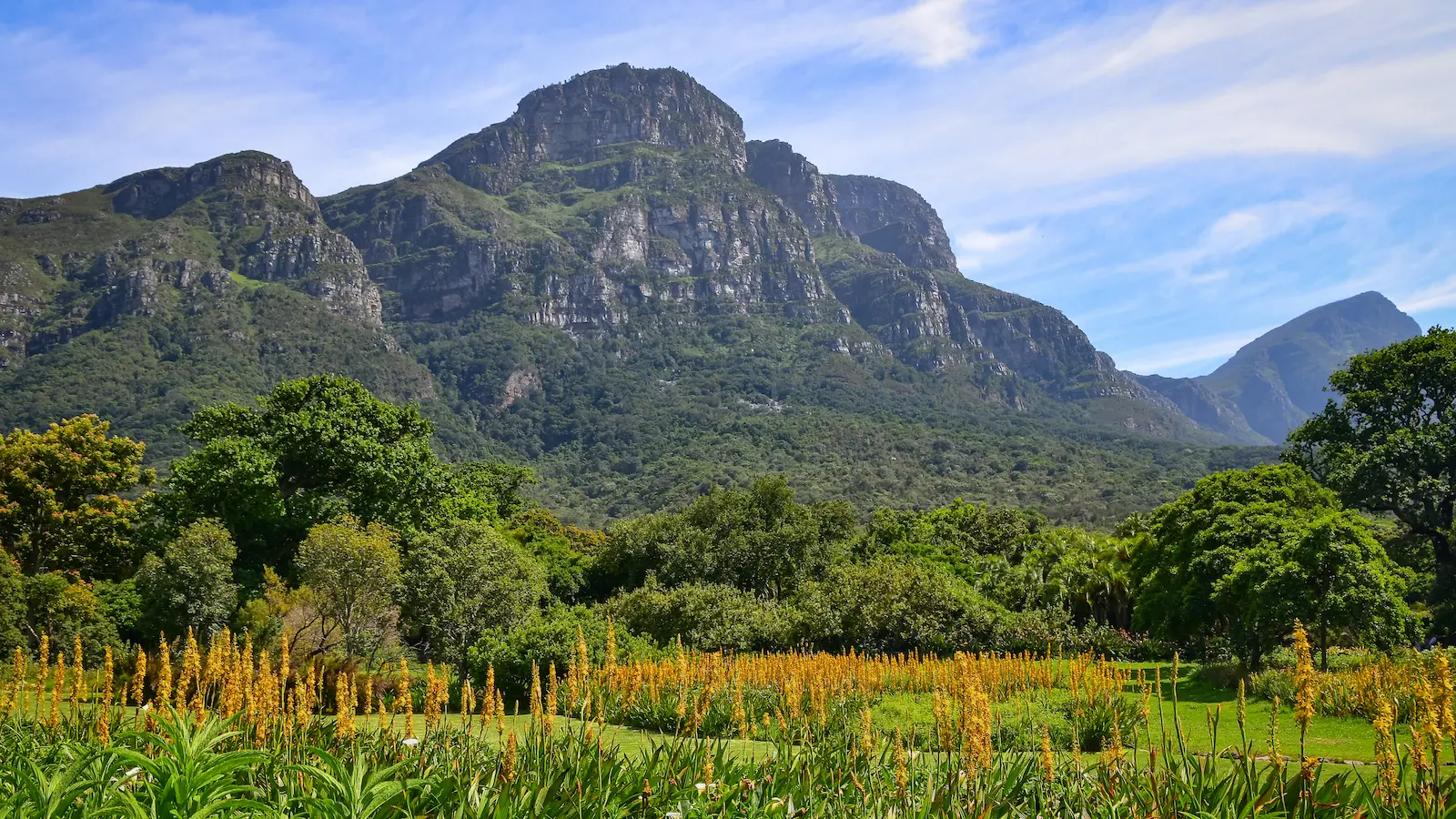 Cape Town natural landscape with fynbos and mountains